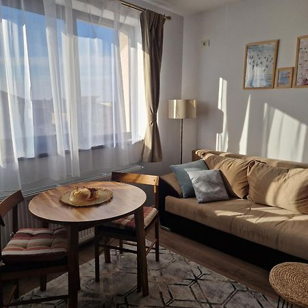 Craitelor Boutique Airport Apartment Otopeni Esterno foto